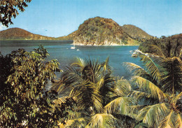 971-SAINT BARTHELEMY LES SAINTES-N° 4382-C/0307 - Altri & Non Classificati