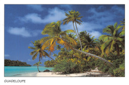 971-GUADELOUPE PAYSAGE PLAGE-N° 4383-B/0009 - Altri & Non Classificati