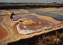 44-GUERANDE LA PALUDIERE MARAIS SALANTS-N° 4383-B/0379 - Guérande