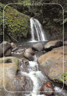 971-GUADELOUPE CASCADE DES ECREVISSES-N° 4385-B/0011 - Other & Unclassified