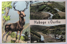 BELGIQUE - LUXEMBOURG - LAROCHE-EN-ARDENNE - MABOGE - Vues - 1960 - La-Roche-en-Ardenne