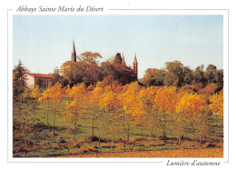 31-ABBAYE SAINTE MARIE DU DESERT-N° 4388-C/0201 - Sonstige & Ohne Zuordnung