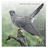 Estonia Estland Estonie 2024 Bird Of The Year Common Cuckoo Omniva Stamp MNH - Cuco, Cuclillos