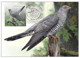 Estonia Estland Estonie 2024 Bird Of The Year Common Cuckoo Omniva Maxicard - Estland