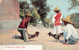 Mexico - A Mexican Cock Fight - Una Pelea De Gallos - Ed. Newman Post Card Co. 36 - Mexico