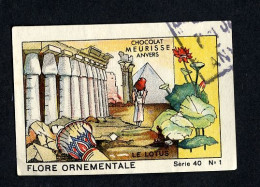 Meurisse - Ca 1930 - 40 - Le Flore Ornementale, Ornamental Flora - 1 - Le Lotus - Otros & Sin Clasificación