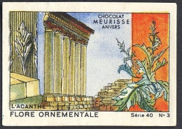 Meurisse - Ca 1930 - 40 - Le Flore Ornementale, Ornamental Flora - 3 - Acanthe, Acanthus - Sonstige & Ohne Zuordnung