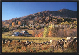 72456709 Jackson_New_Hampshire Black Mountain - Altri & Non Classificati