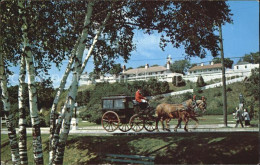 72456670 Mackinac_Island Pferdekutsche Denkma Father Marquette - Altri & Non Classificati