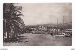 83 BANDOL N°9 901 Promenade Et Le Port BUS Ancien Chien à L'ombre Des Palmiers VOIR DOS - Bandol