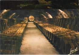 Le Beaujolais - Intérieur Des Caves - Wijnbouw