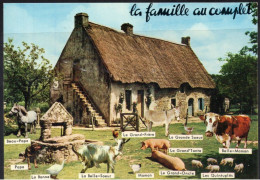 Ferme - La Famille Au Complet - Fattorie