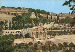 72450739 Jerusalem Yerushalayim Old City Basilica And Gardens Of Gethsemane  - Israele