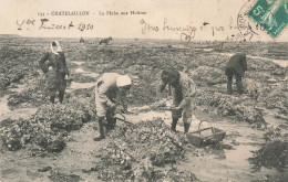 CHATELAILLON : LA PECHE AUX HUITRES - Châtelaillon-Plage