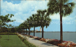 72448207 Jacksonville_Florida Palms Line The Shores Of St Johns River - Other & Unclassified