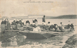 LA TRINITE SUR MER : ARRIVAGE DES HUITRES - La Trinite Sur Mer