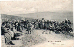 Champagne - Moet&Chandon - Le Déjeunér Des Vendangeurs - Vigne