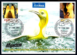 ANTARCTIC - NAWSON STATION - PINGUIN JAUNE (RARE) -  - Antarctische Fauna