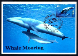 BALEINES - WHALE MOORING - ANTARCTIC TERRITORY - - Whales