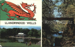 72442953 Llandrindod Wells The Lake Alpine Bridge Llandrindod Wells - Autres & Non Classés