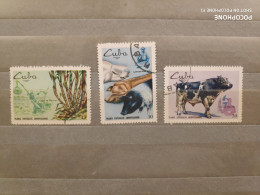 1969	Cuba	Animals  (F90) - Used Stamps