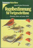 Vogelbestimmung Für Fortgeschrittene : ähnliche Arten Auf Einen Blick - Alte Bücher