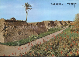 72416349 Caesarea Israel Crusaders City Wall Caesarea Israel - Israele