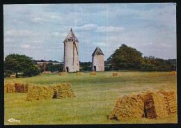 CPSM / CPM 10.5 X 15 Deux Sèvres CHICHE Moulins De La Guirère - Altri & Non Classificati