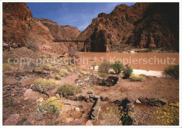 72405348 Colorado_US-State View Across The Colorado River Near Phantom Ranch Kai - Other & Unclassified