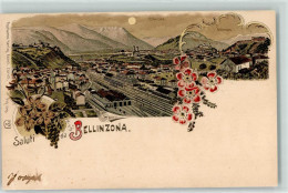 13442905 - Bellinzona - Autres & Non Classés