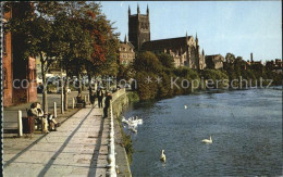 72397013 Worcester Worcester Cathedral Form The River Severn Worcester - Other & Unclassified