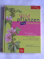 Wildpflanzen Neu Entdecken. Blumen, Kräuter, Sträucher, Bäume Von Scherf, Gertrud  - Unclassified