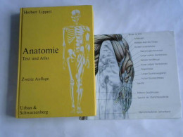 Anatomie. Text Und Atlas. Deutsche Und Lateinische Namen Von Lippert, Herbert - Ohne Zuordnung