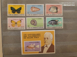 1974	Cuba	Fishes (F90) - Unused Stamps
