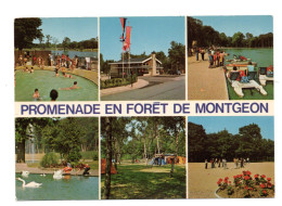 Promenade En Forêt De Montgeon - Zonder Classificatie