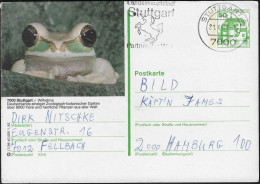 Allemagne 1982. Entier  Postal Touristique. Grenouille Du Parc Zoologique De Stuttgart - Ranas