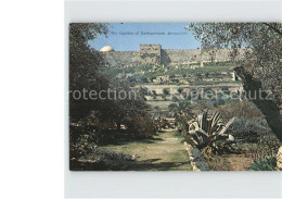 72389923 Jerusalem Yerushalayim Garden Of Gethsemana  - Israele