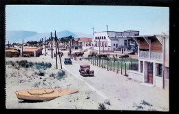 Cp, Automobiles, 66, Canet, Les Villas, Le Casino, Vierge - Voitures De Tourisme