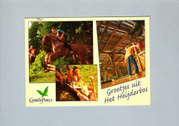 Parc D'attraction - CenterParcs - Andere & Zonder Classificatie