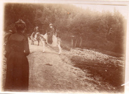 Photographie Photo Vintage Snapshot Donkey âne Balade Promenade - Autres & Non Classés