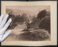 Fotografie Unbekannter Fotograf, Ansicht Hongkong, Blick In Den Botanischen Garten, Rückseite Kutsche In Einer Allee  - Plaatsen