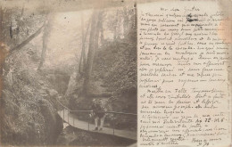 MONDE - Pont - Forêt - Homme En Costume - Vue D'ensemble - Carte Postale Ancienne - Monde