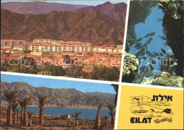 72350776 Eilat Teilansichten Eilat - Israël