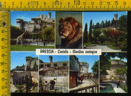 Brescia Città Castello - Giardino Zoologico  - Brescia