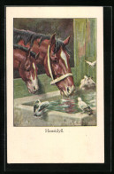 AK Stute Und Fohlen Am Brunnen Vor Dem Stall, Vögel  - Horses
