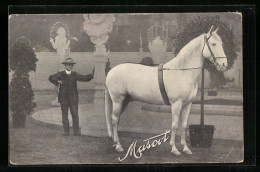 AK Mascot, Schimmel Und Sein Besitzer  - Paardensport