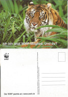 Switzerland Zurich WWF Sumatra Tiger - Tigri