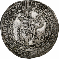 Comté De Flandre, Louis II De Mâle, Double Gros Botdraeder, 1365-1383, Malines - Andere & Zonder Classificatie