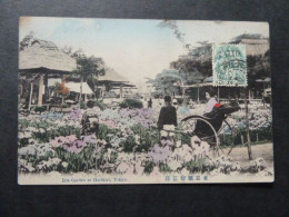 T2 - Japon - Iris Garden At Horikiri, Tokyo - Envoyée De Tientsin Chine En 1912 - Tokio