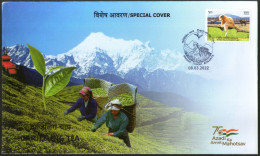 India 2022 Darjeeling Tea Agriculture Plant Special Cover # 9010 - Agriculture